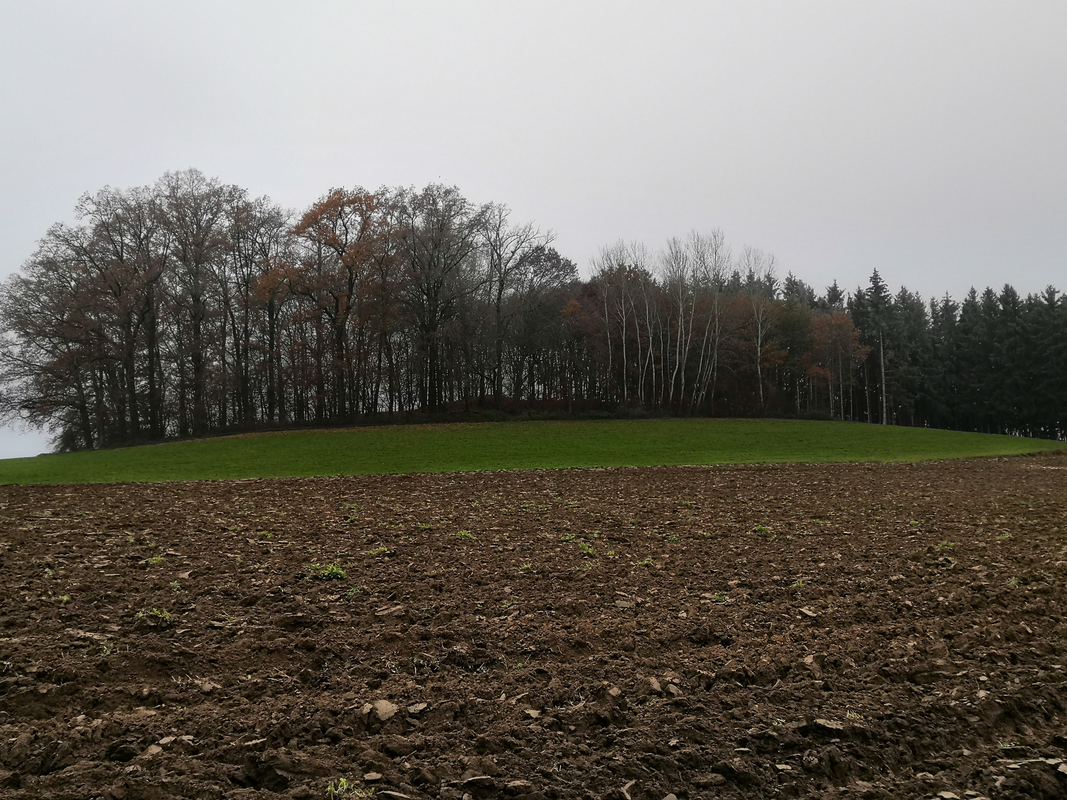 Behlingen