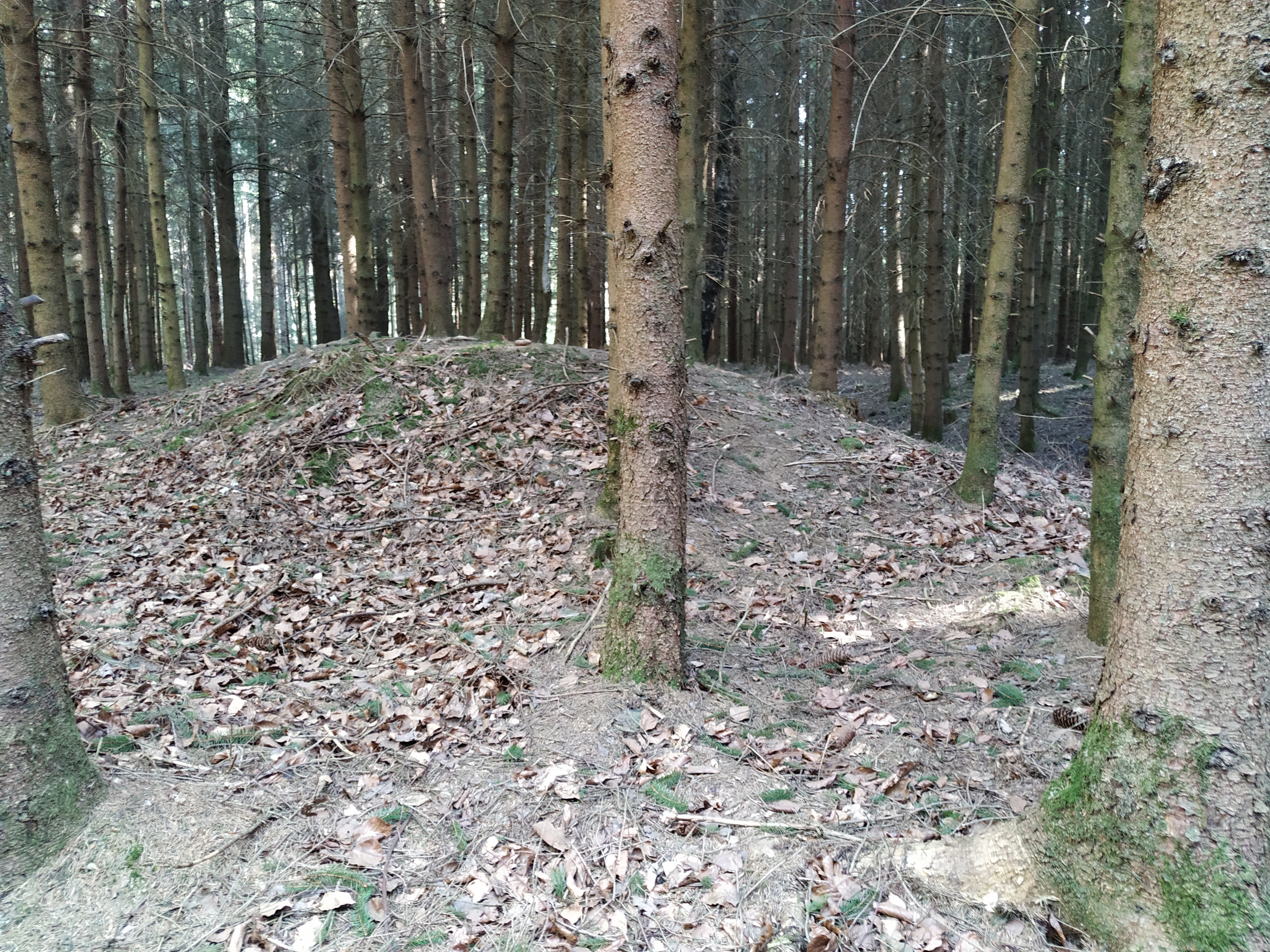 IMG 20200419 164640