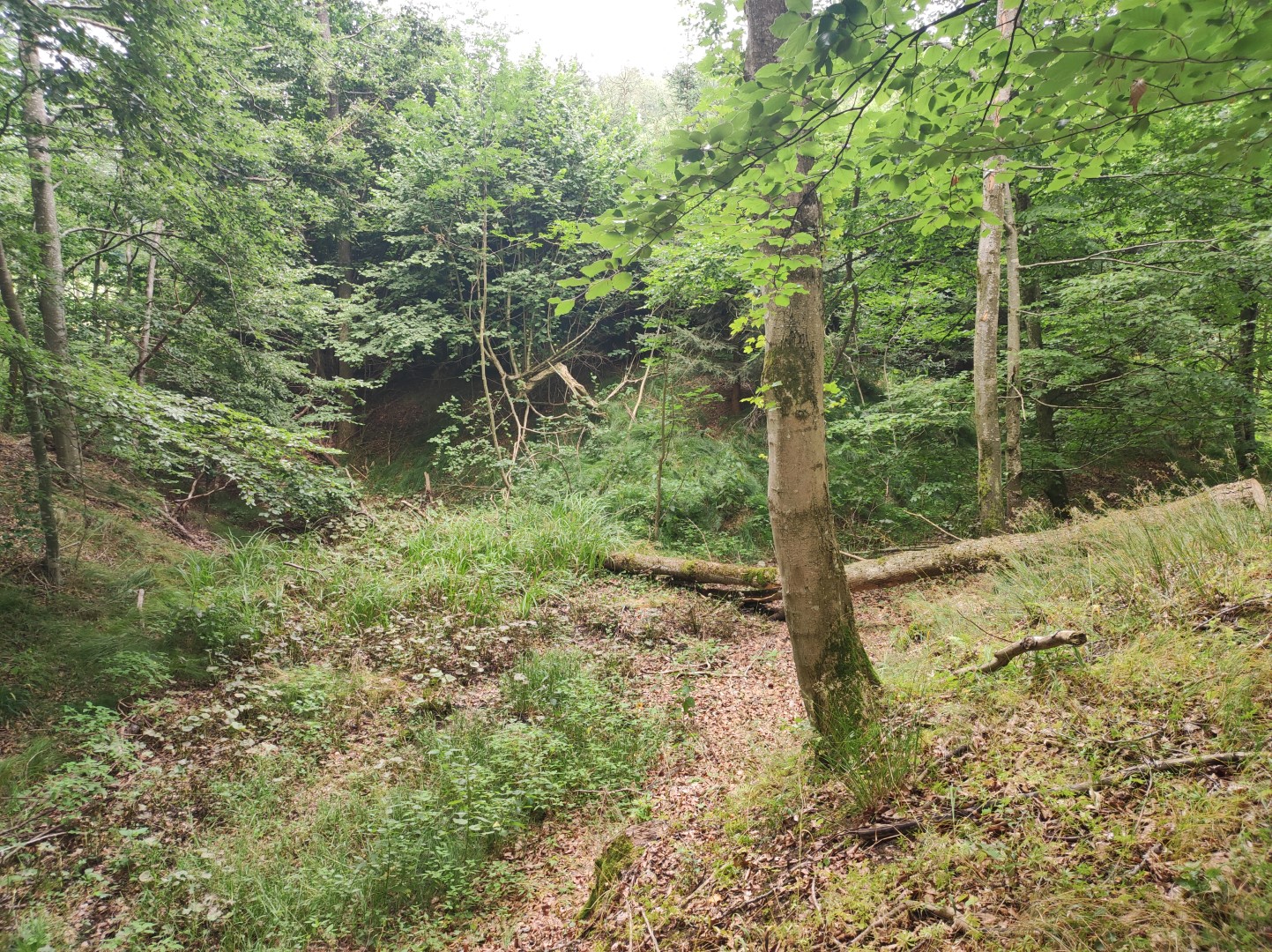 IMG 20220721 145532