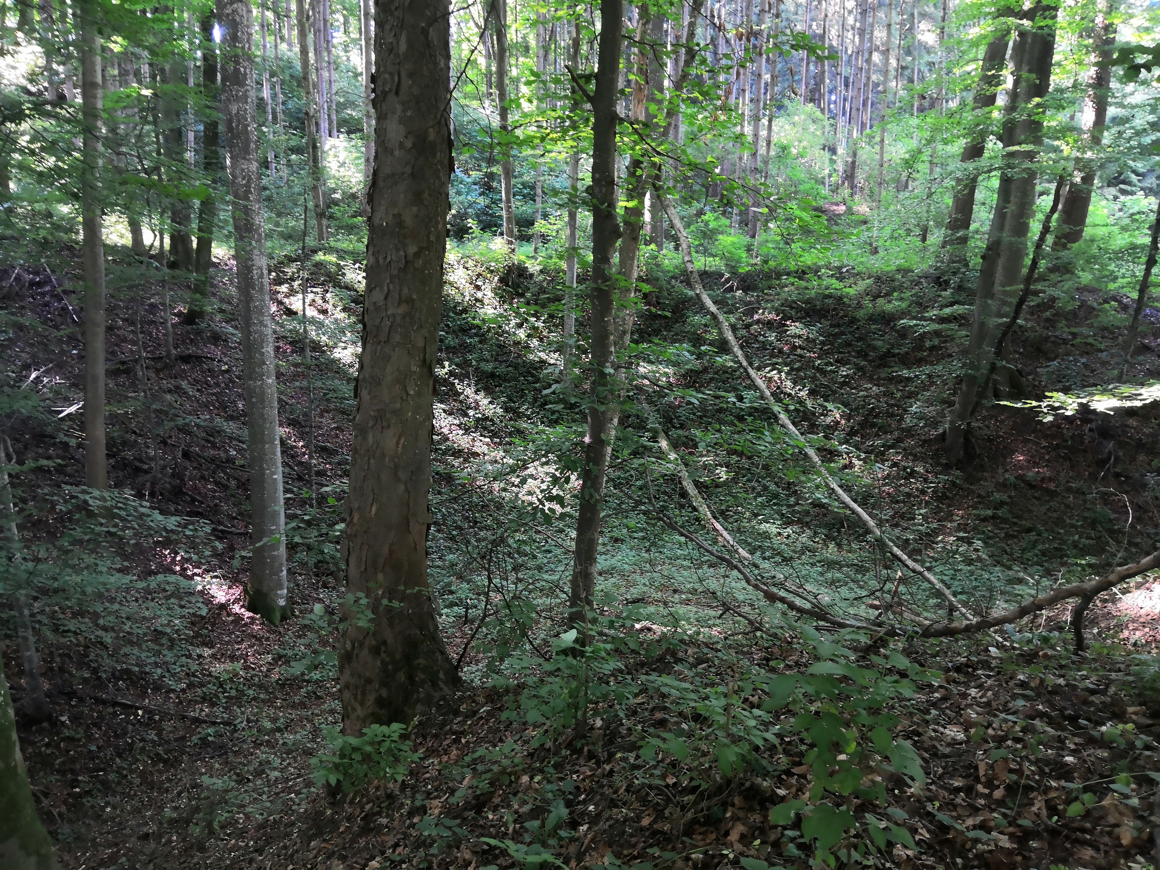 Hasberg 2