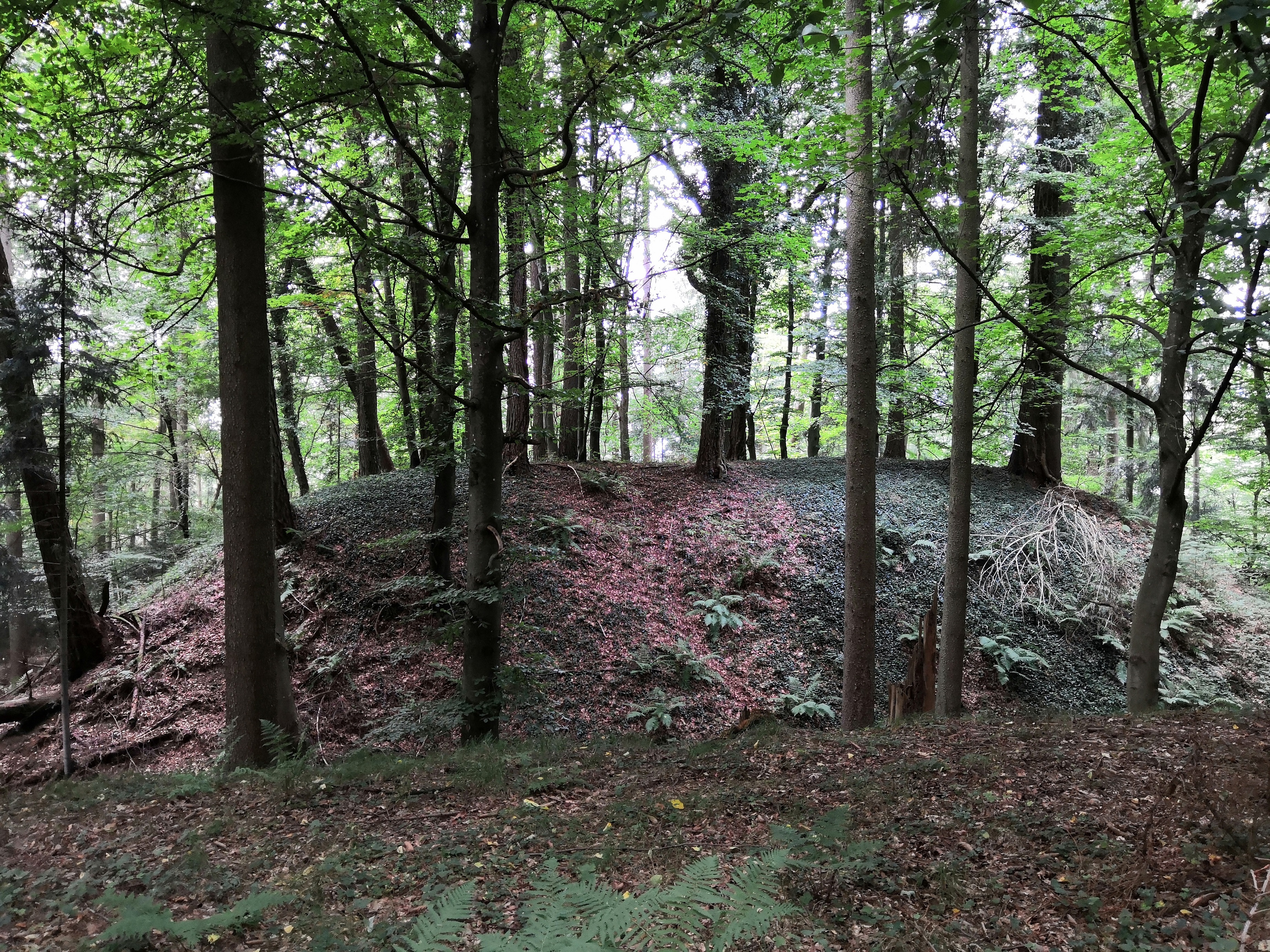 Haslach4
