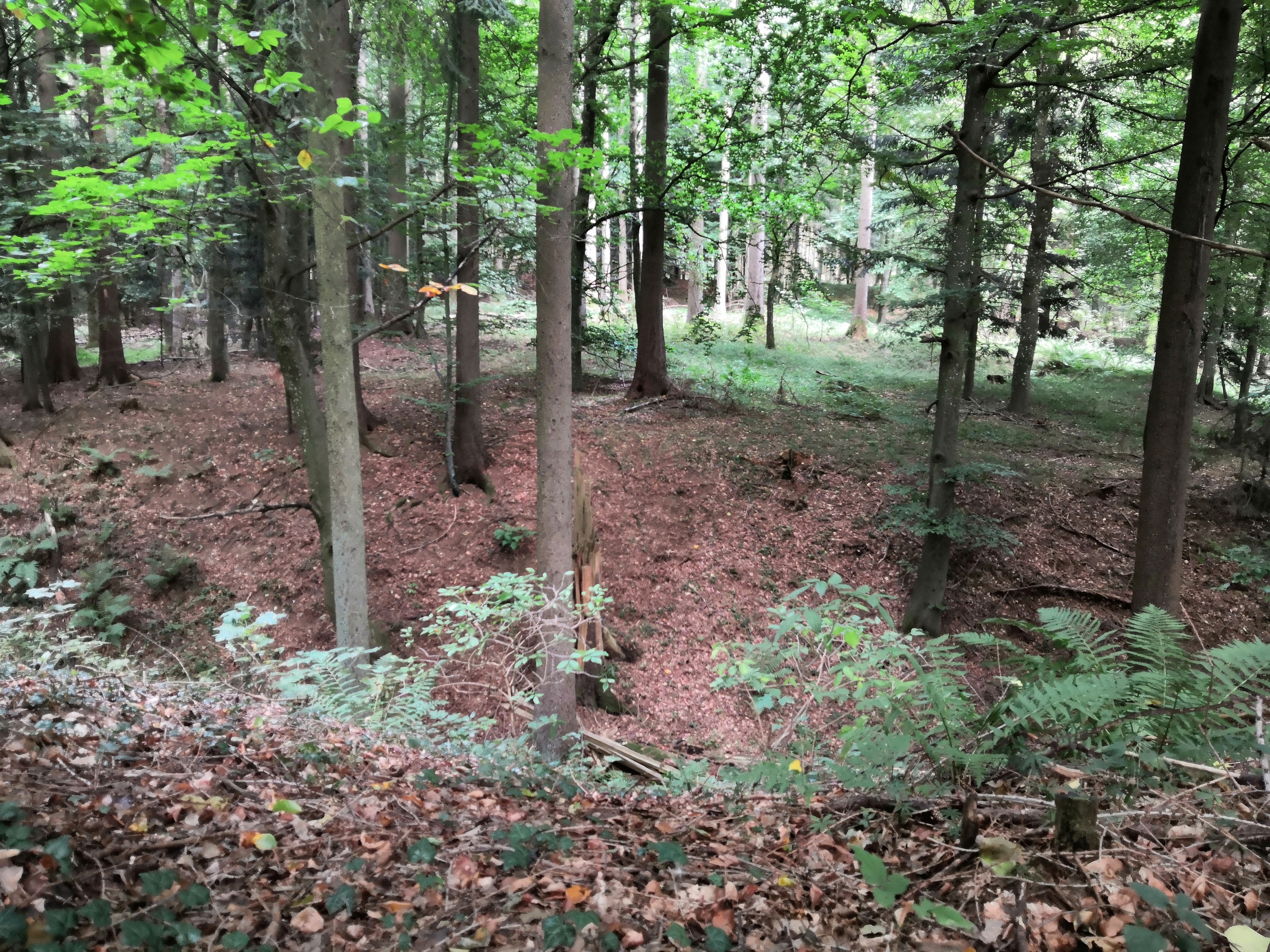 Haslach5