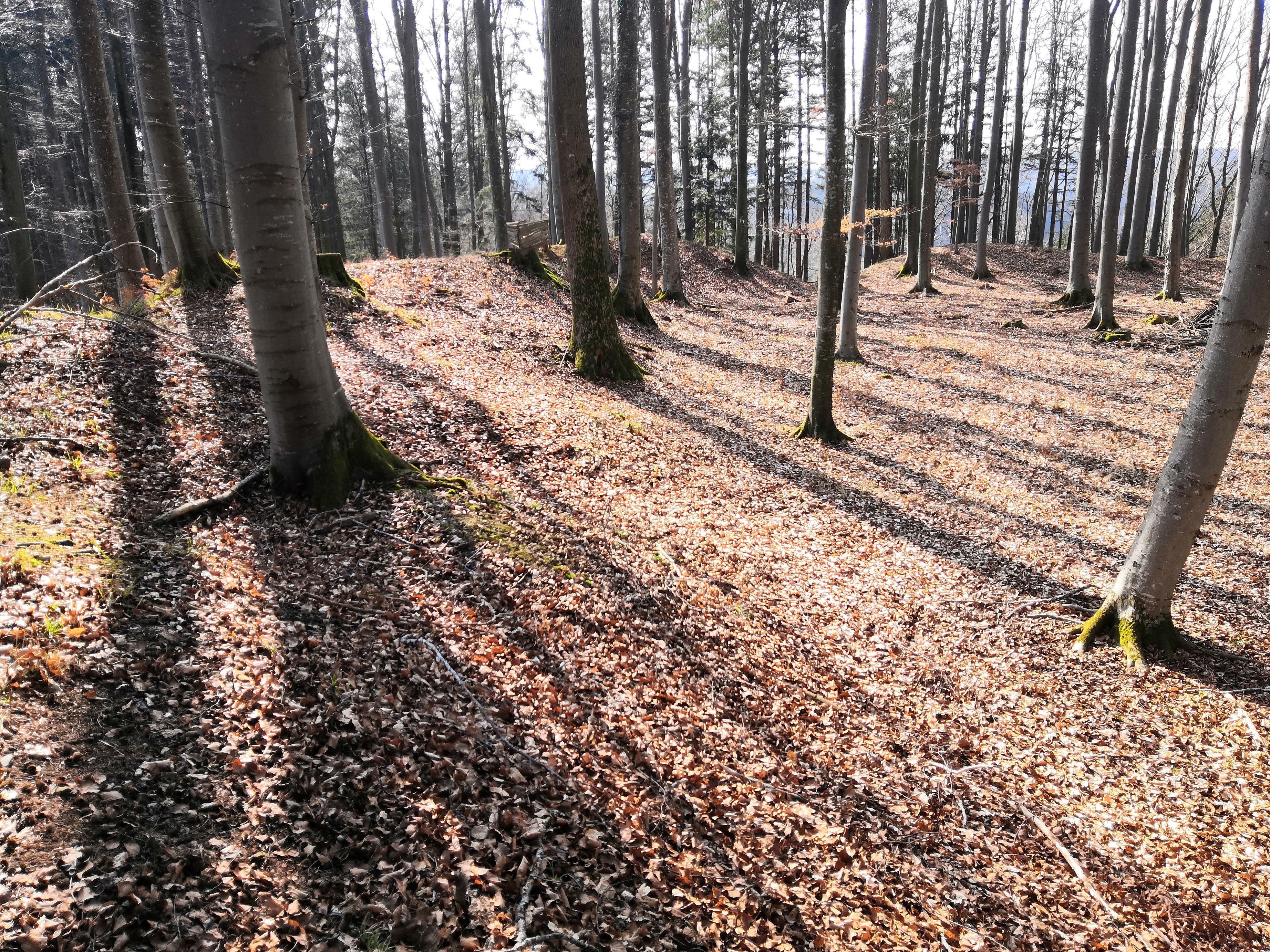 Herretshofen2