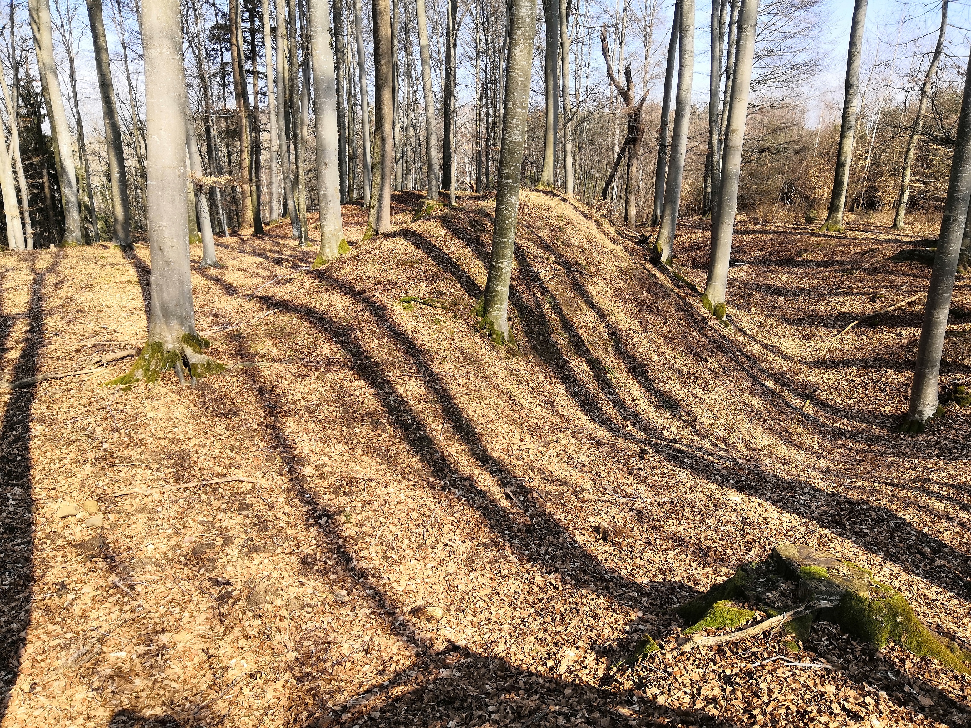 Herretshofen3
