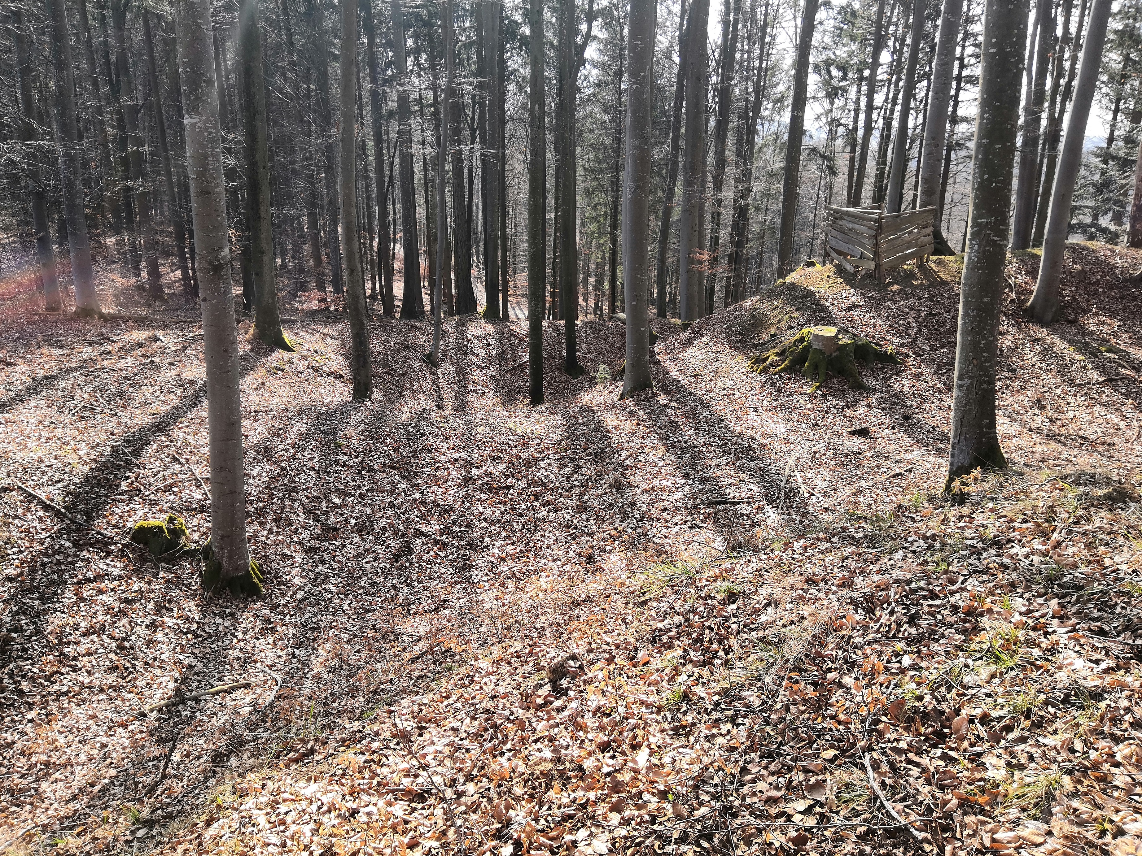 Herretshofen5