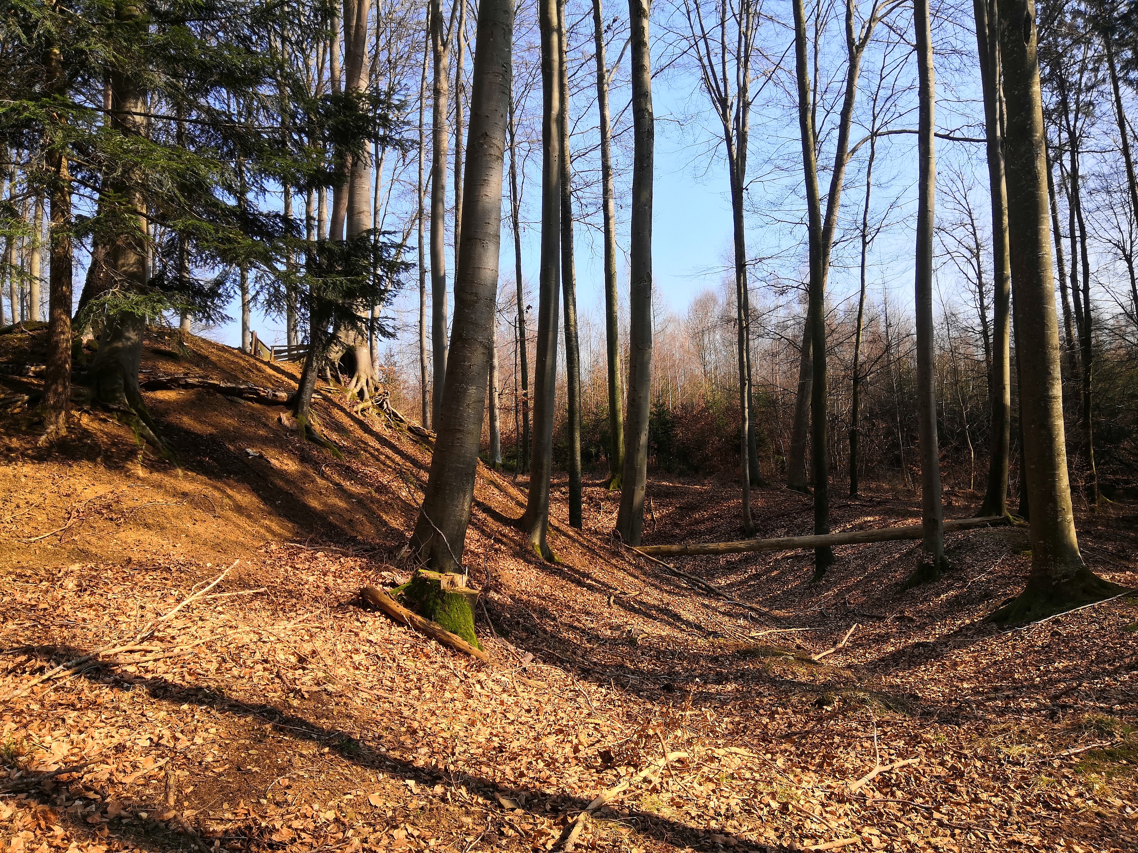 Herretshofen6