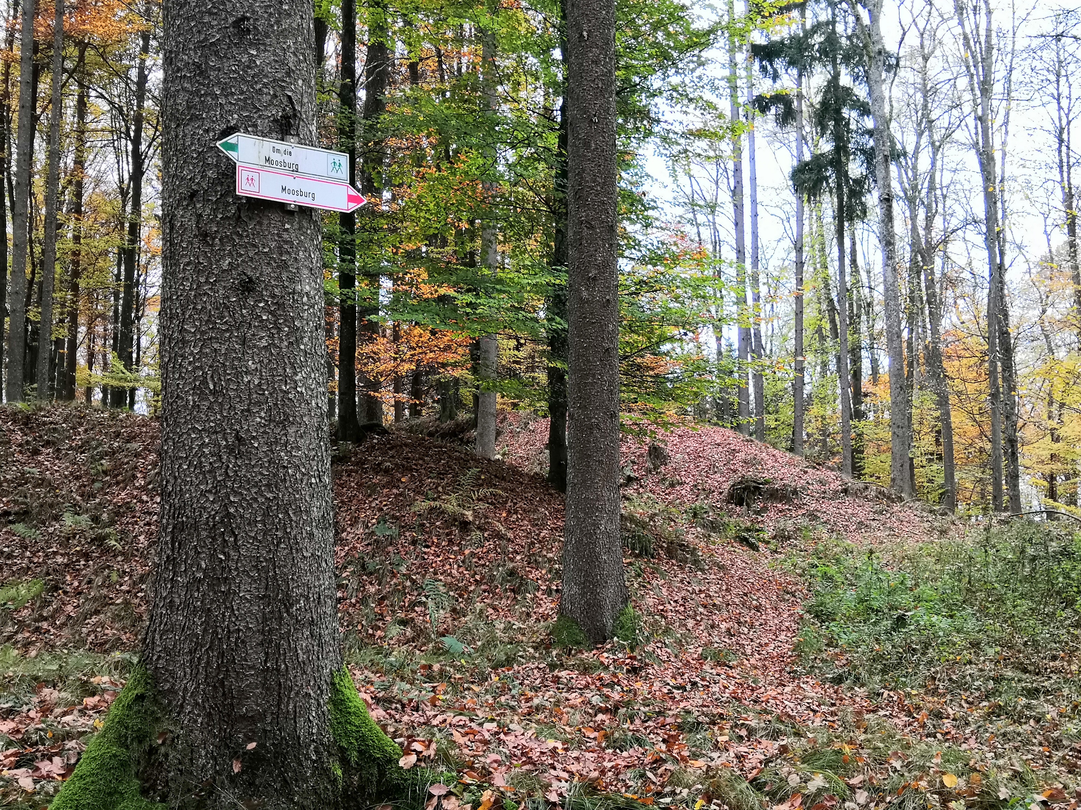 Moosburg1