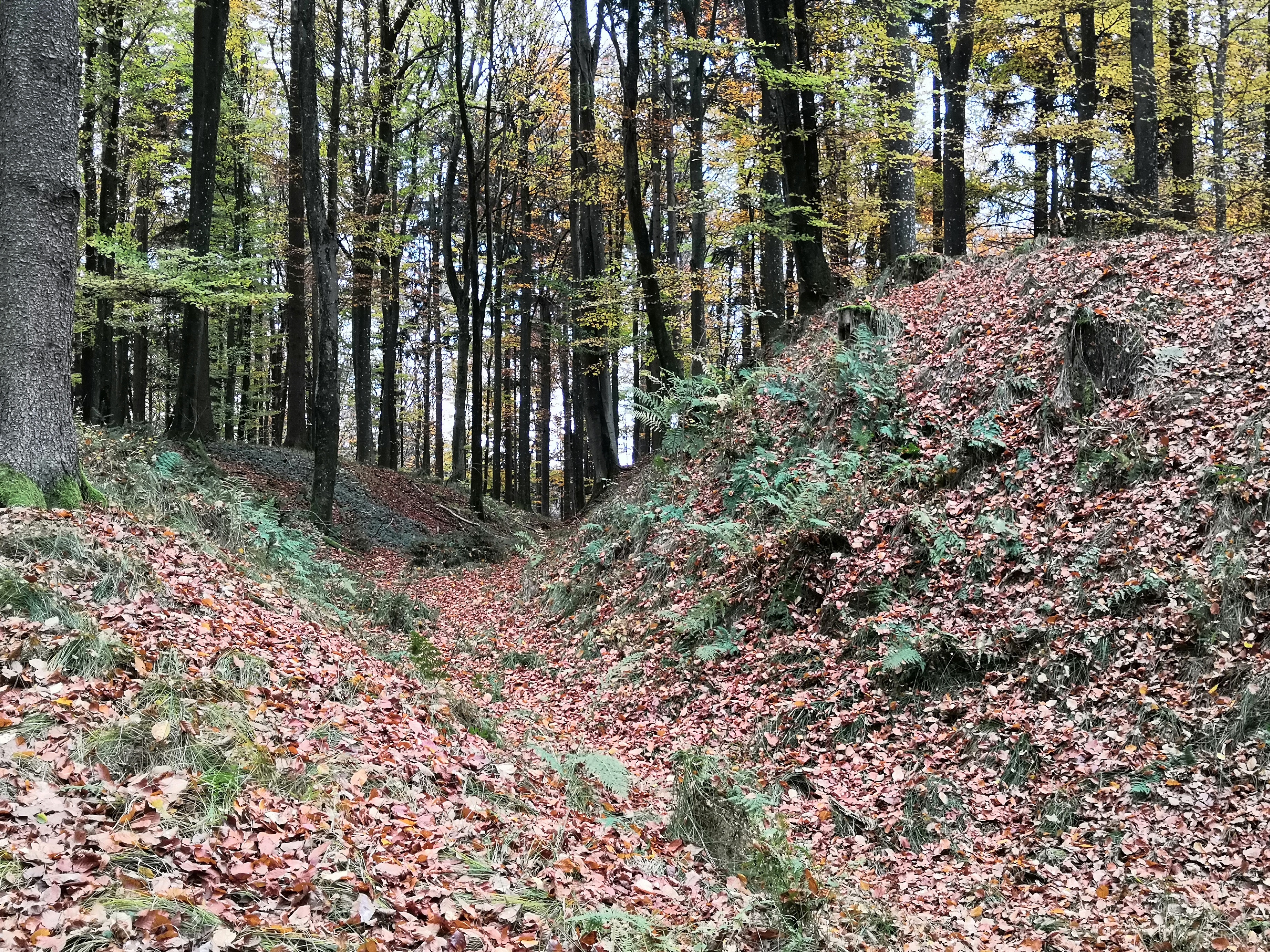 Moosburg2