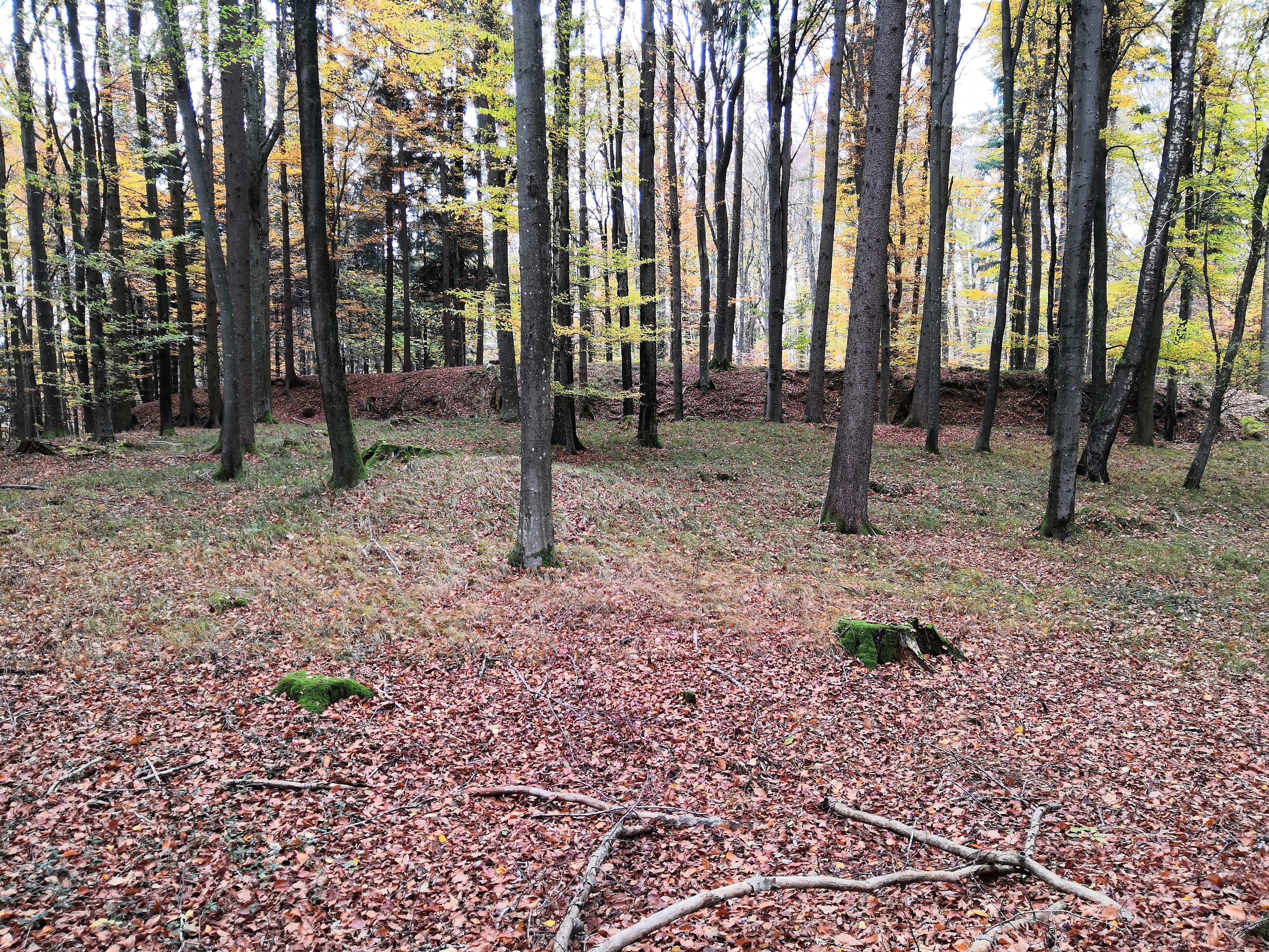 Moosburg3