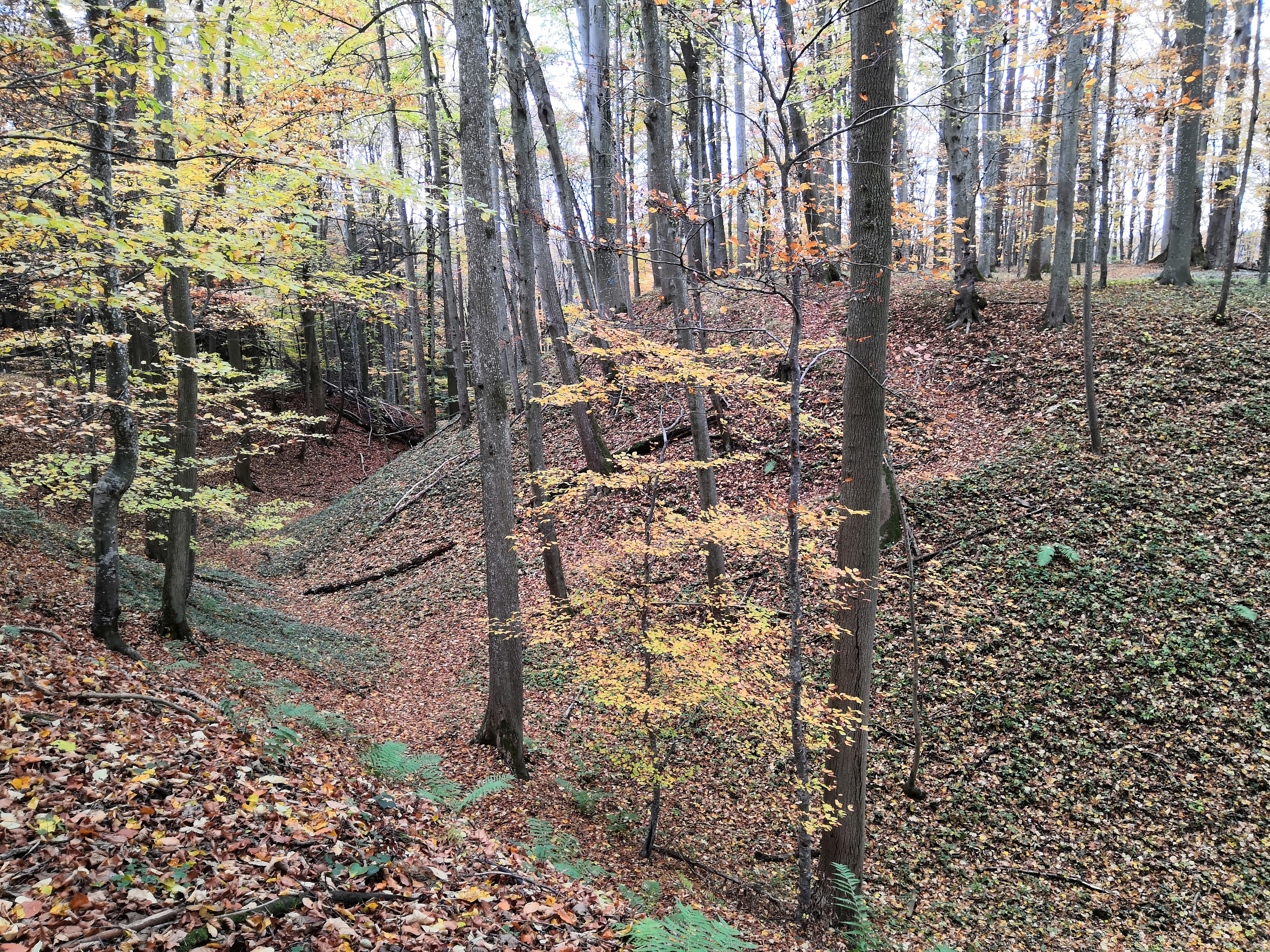 Moosburg5