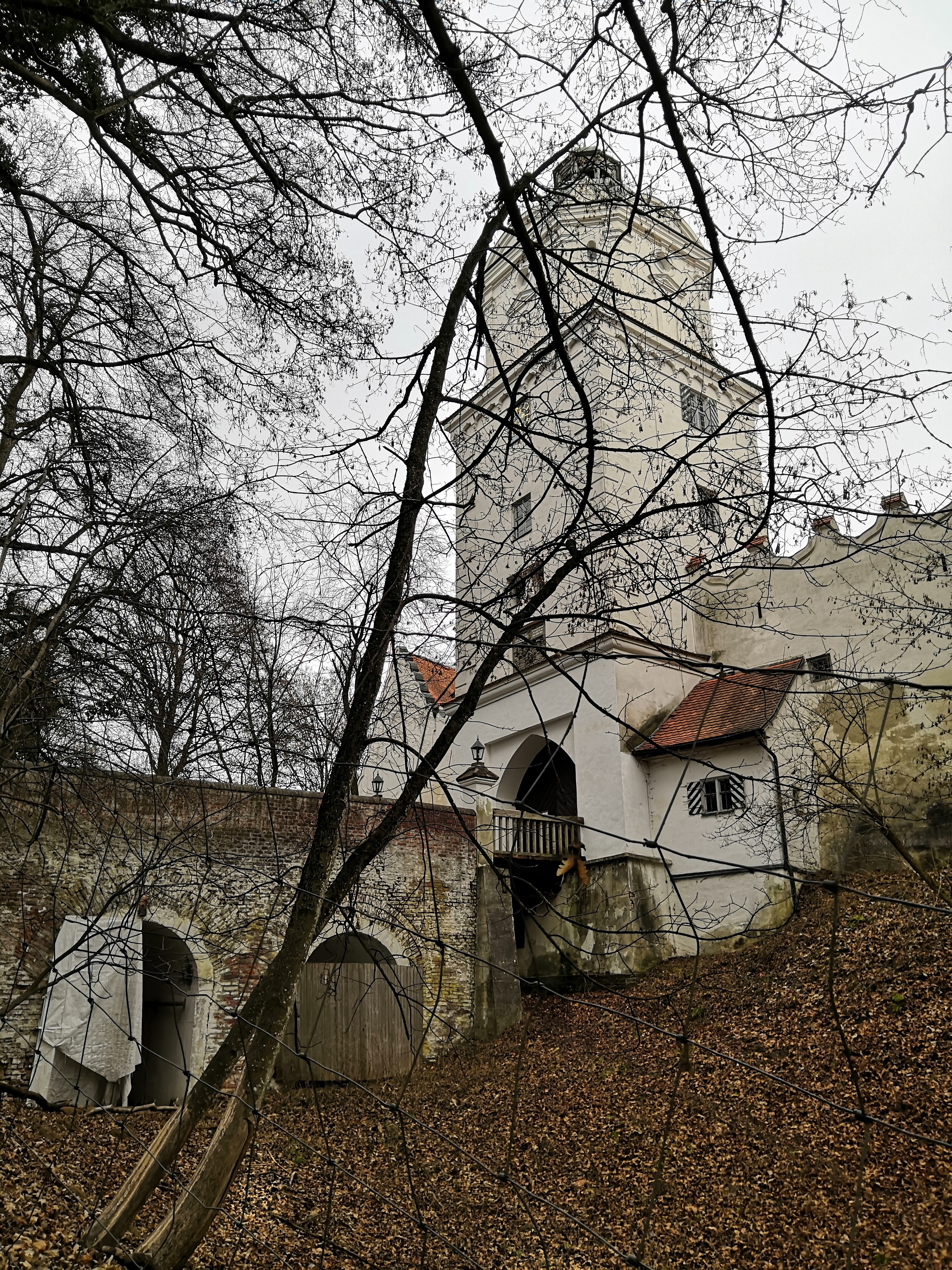 Neuburg1