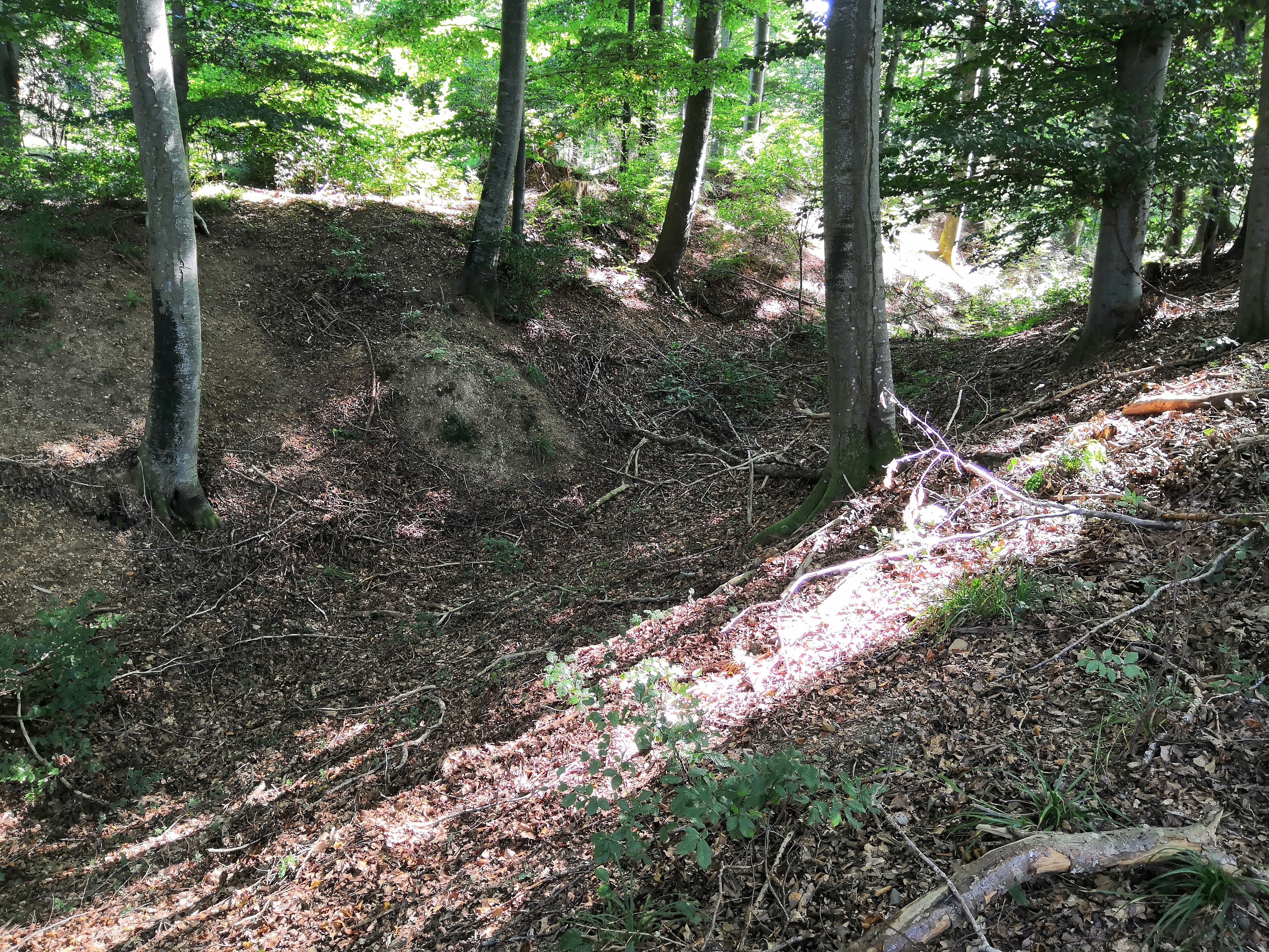 Oberroth1