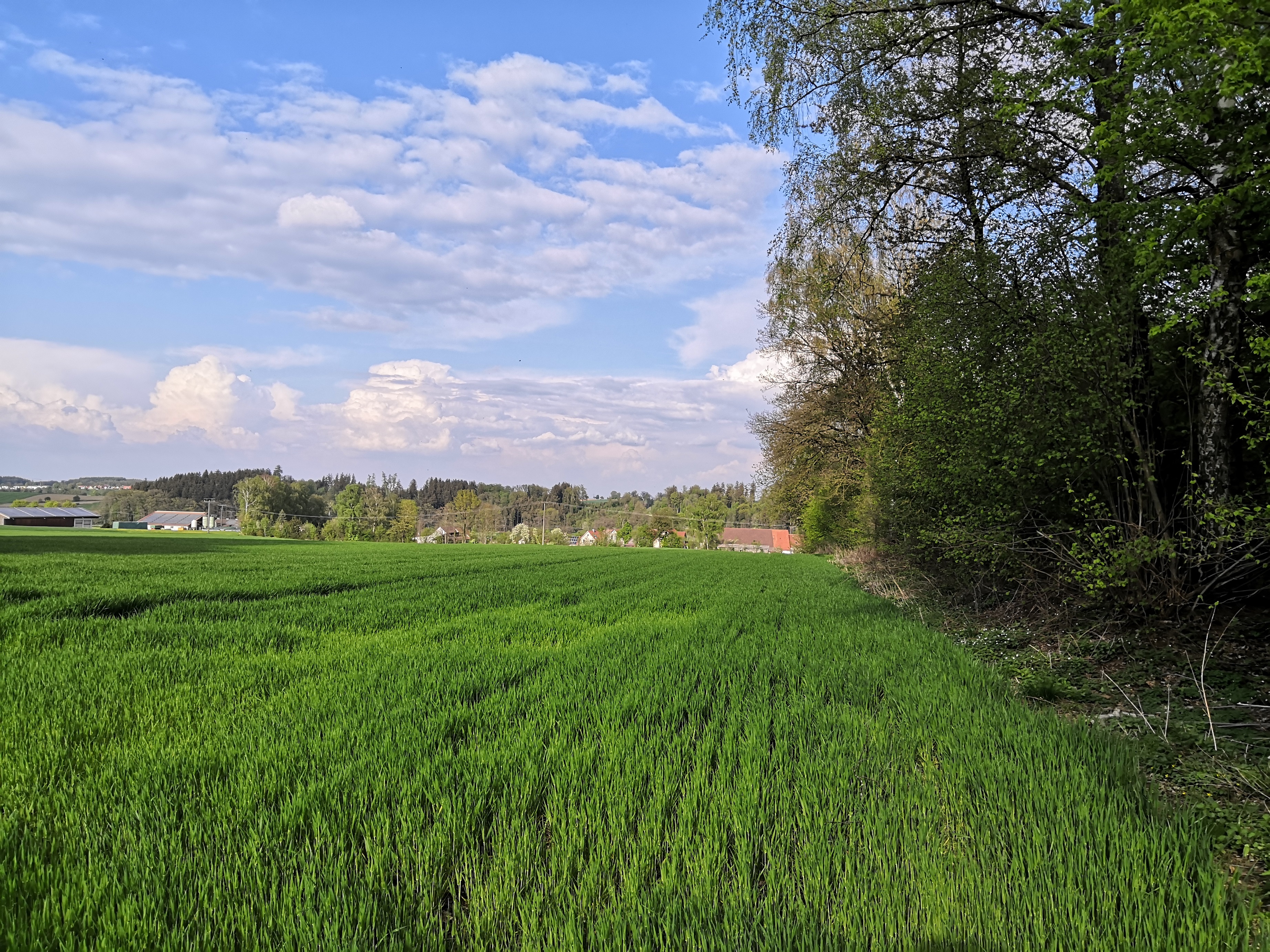 Pfaffenhofen2