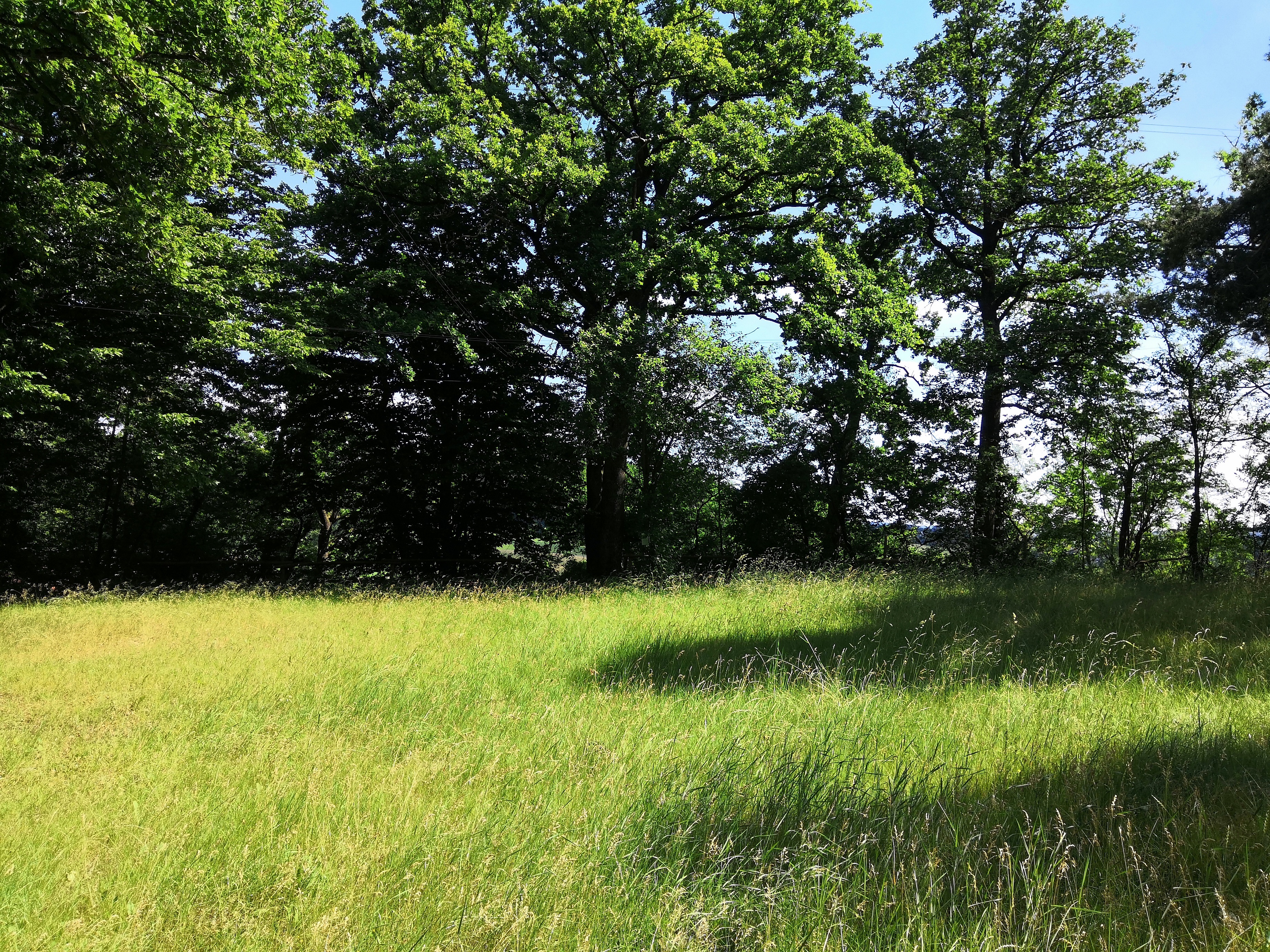 Wattenweiler5