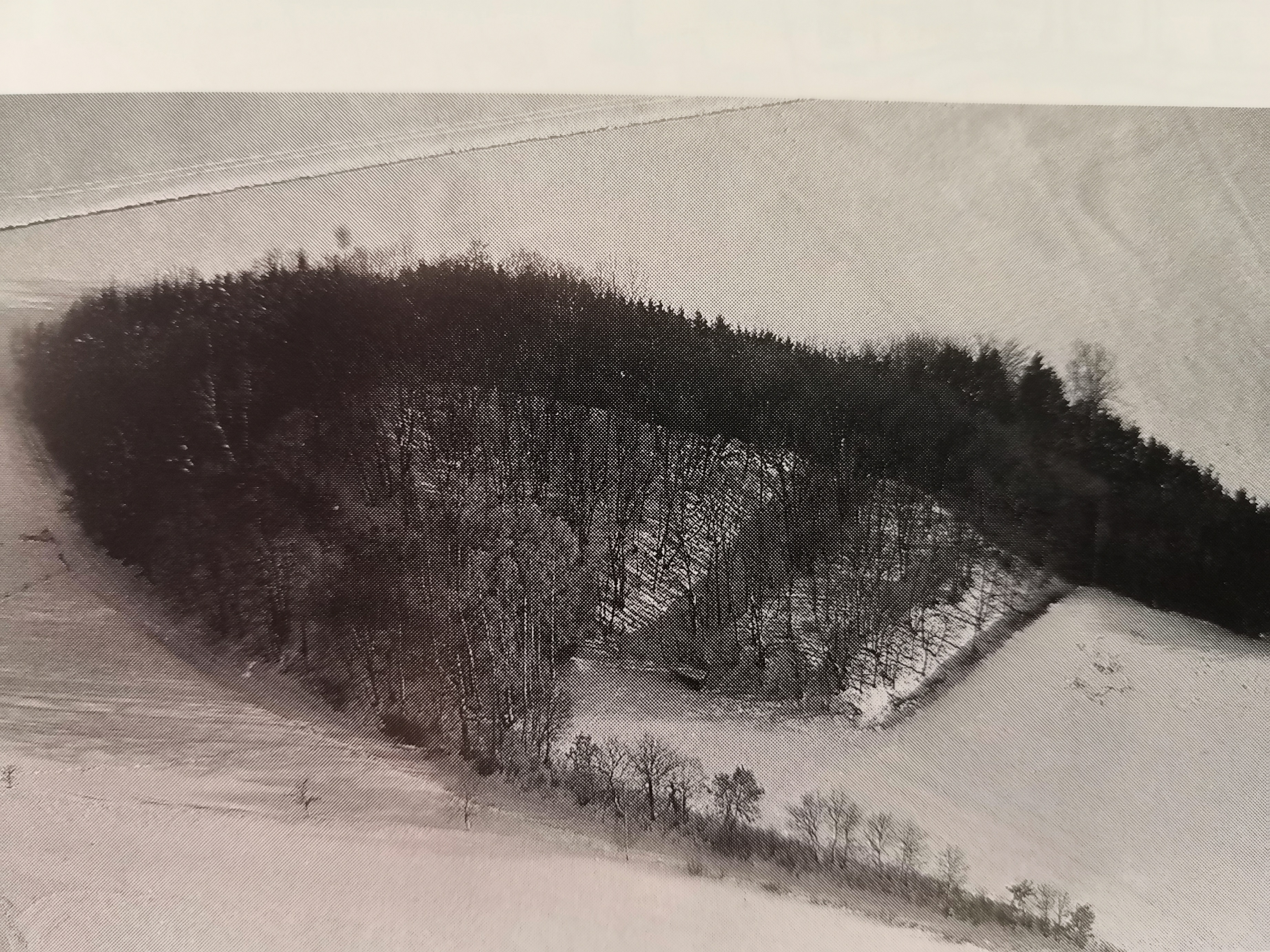 Wiesenbach1