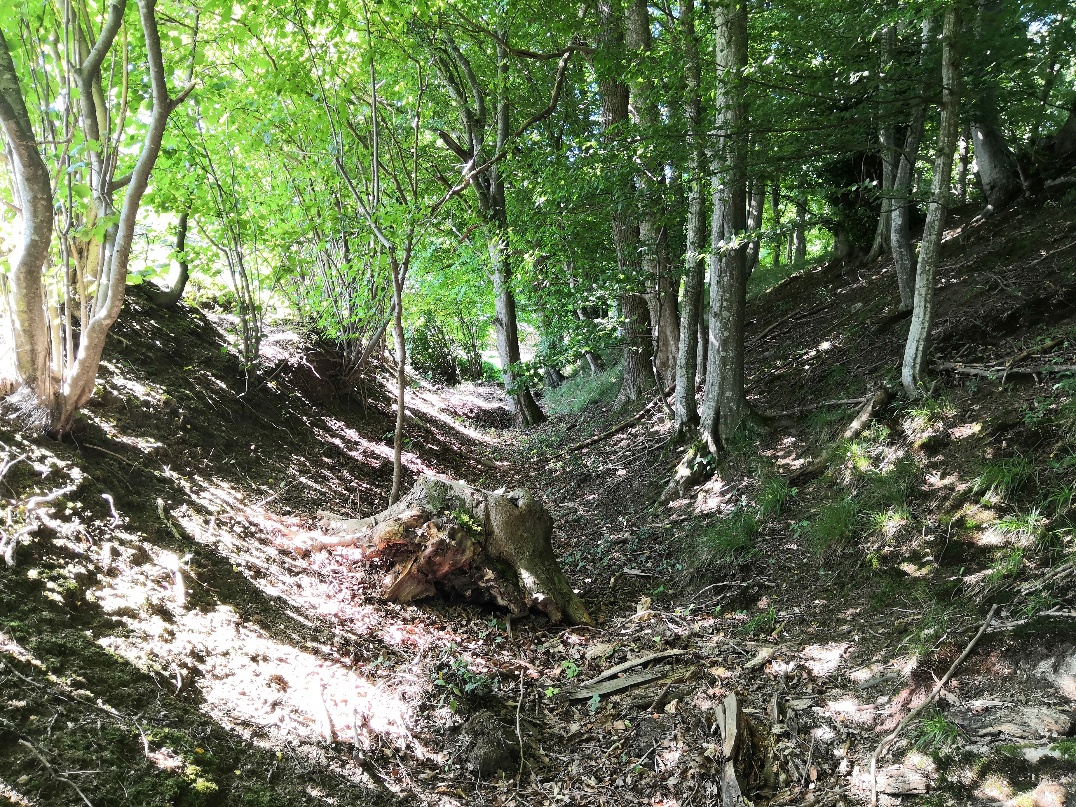 Wiesenbach2
