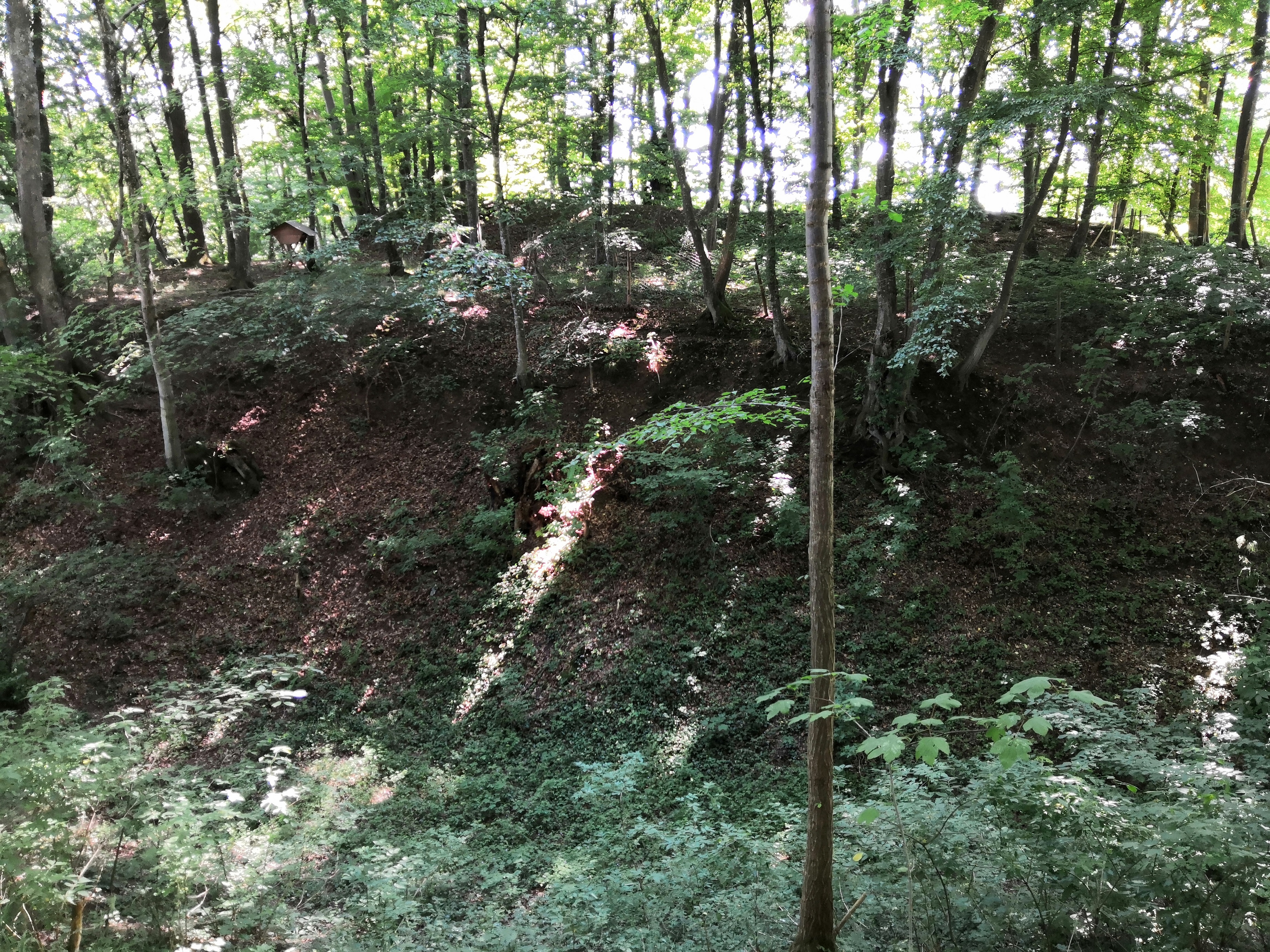 Wiesenbach4