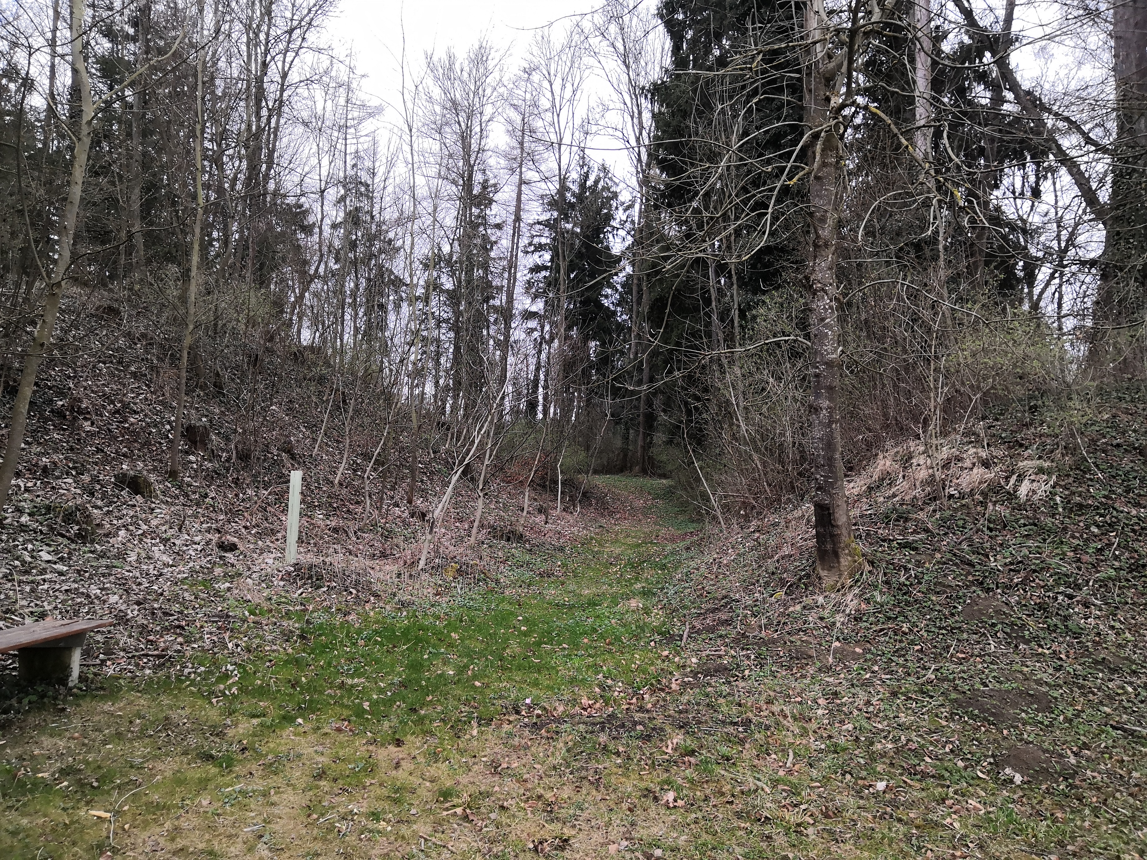 neuhausen 3
