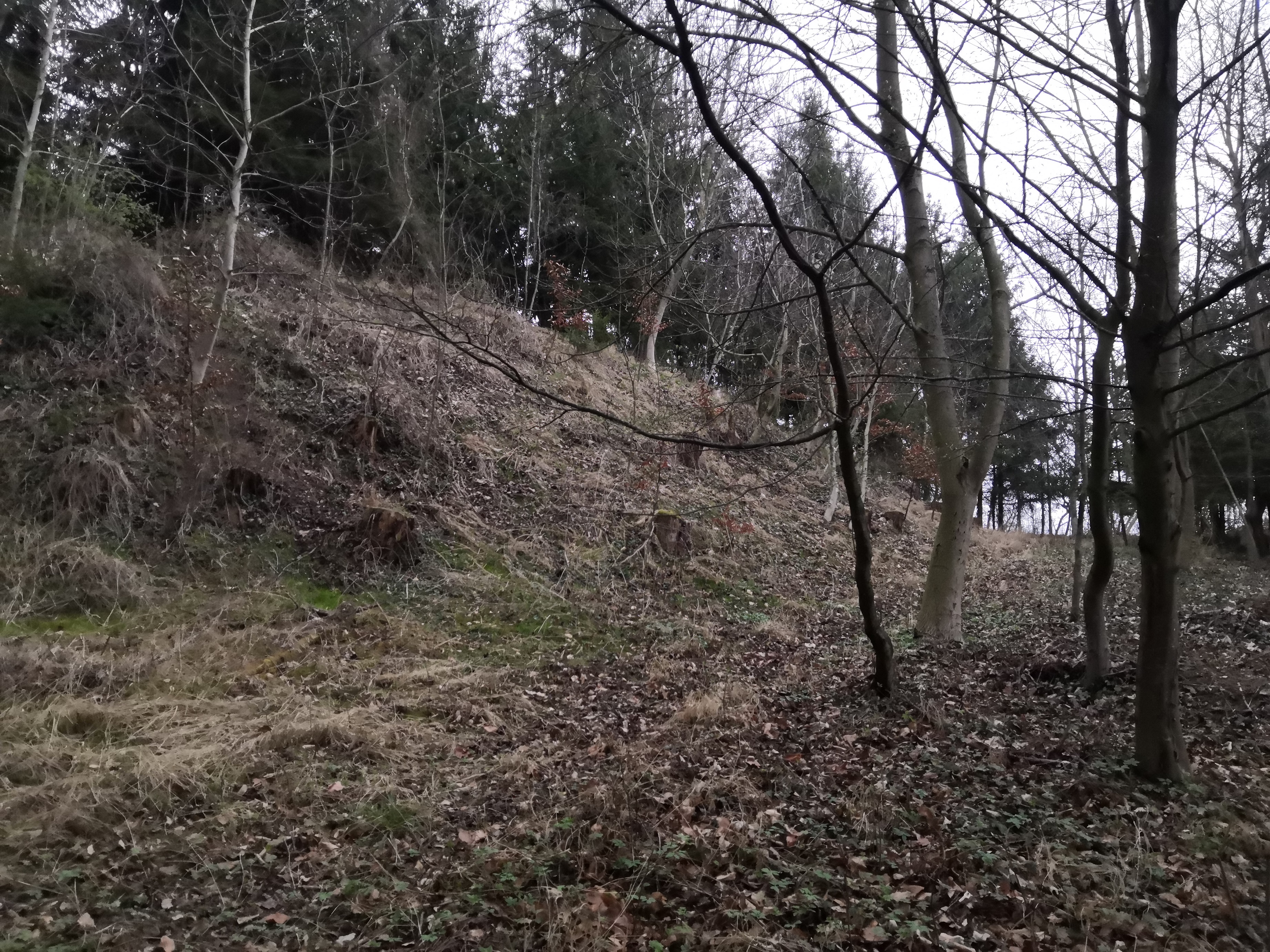 neuhausen 4