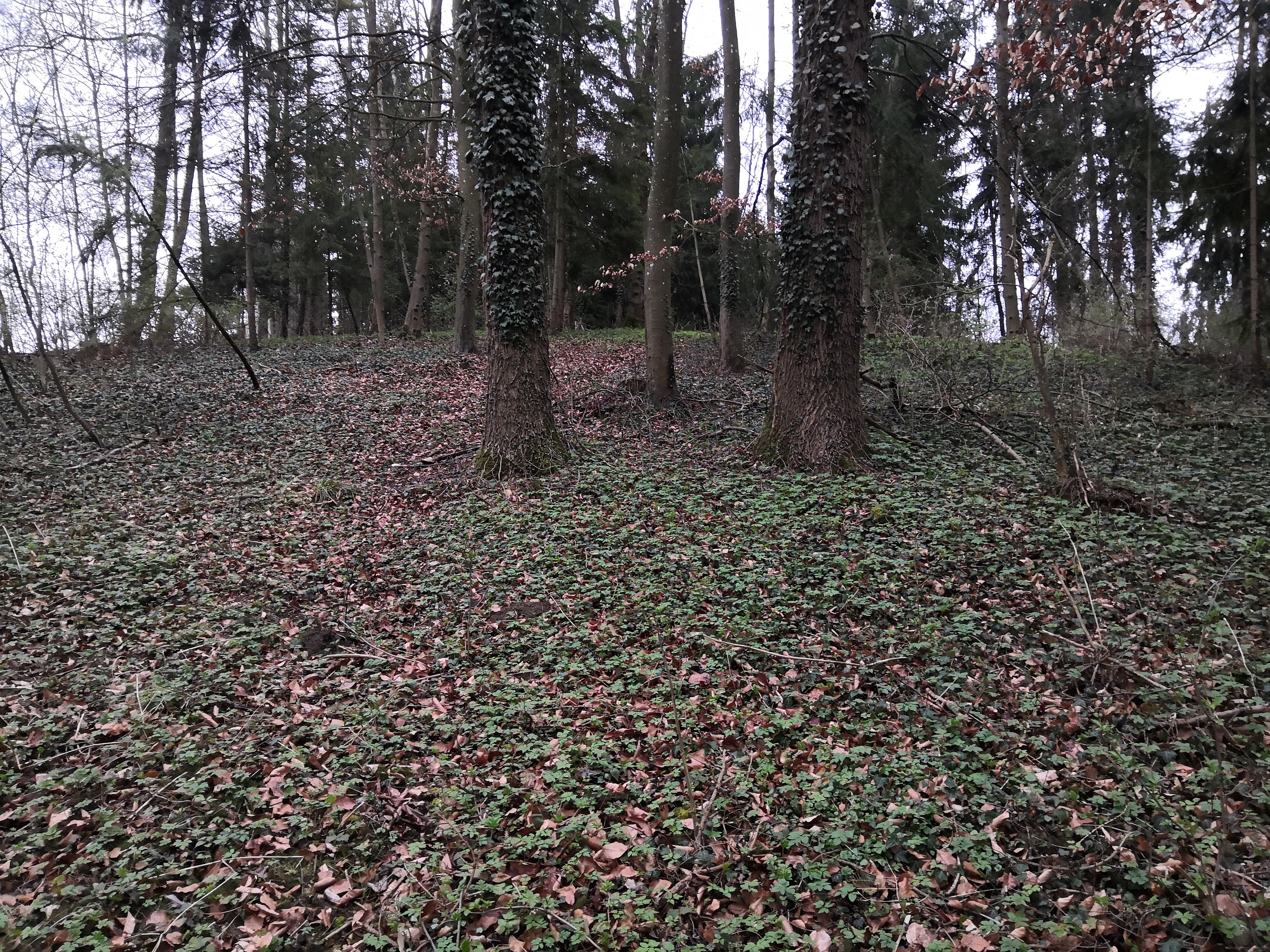 neuhausen 5